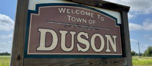 Mosquito control in Duson, LA