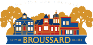Mosquito Control in Broussard, Louisiana