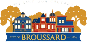 Mosquito Control in Broussard, Louisiana