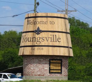Mosquito Control In Youngsville LA